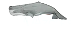 Logotipo de CW Azores