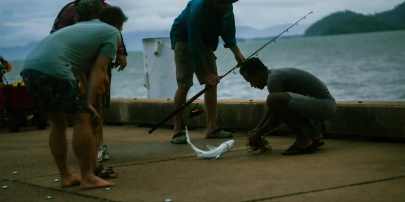 Pesca de tubarões com captura e soltura na Flórida