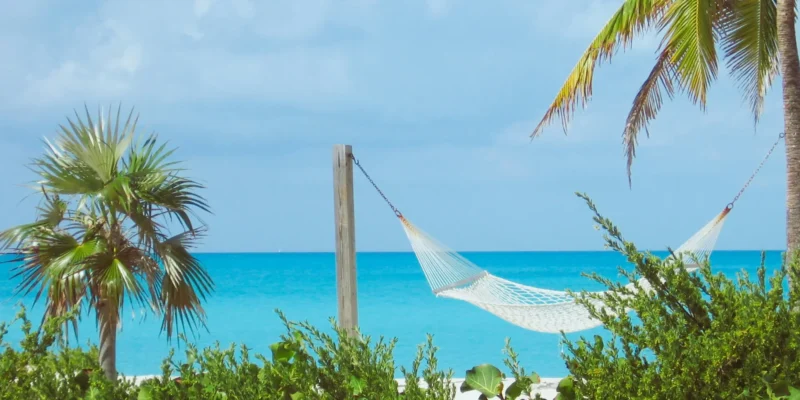 Rede e palmeiras nas Bahamas Mergulho com tubarões