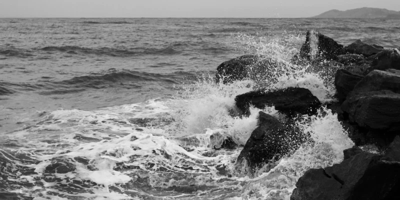 Ataque de tubarão turista morre em Ixtapa Zihuatanejo México