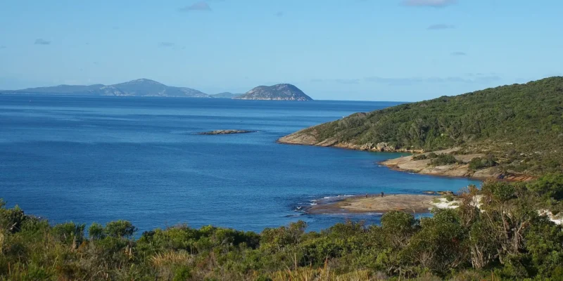 Ataque de tubarão perto de Michaelmas Island, Austrália