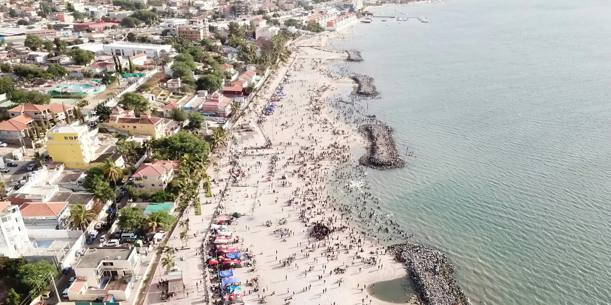 Mergulhar com tubarões em Angola vista da praia de cima