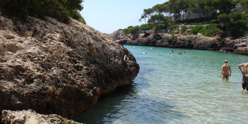 Alerta de tubarão no Ballermann em Maiorca         ChatGPT fragen