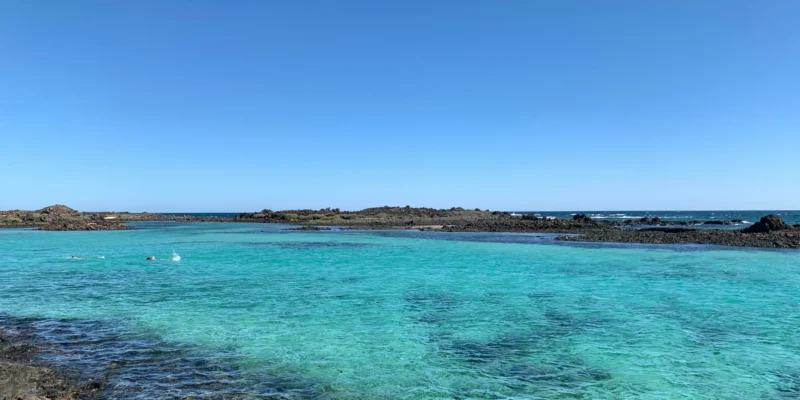 Oliva Espanha tubarão-azul ataca banhista