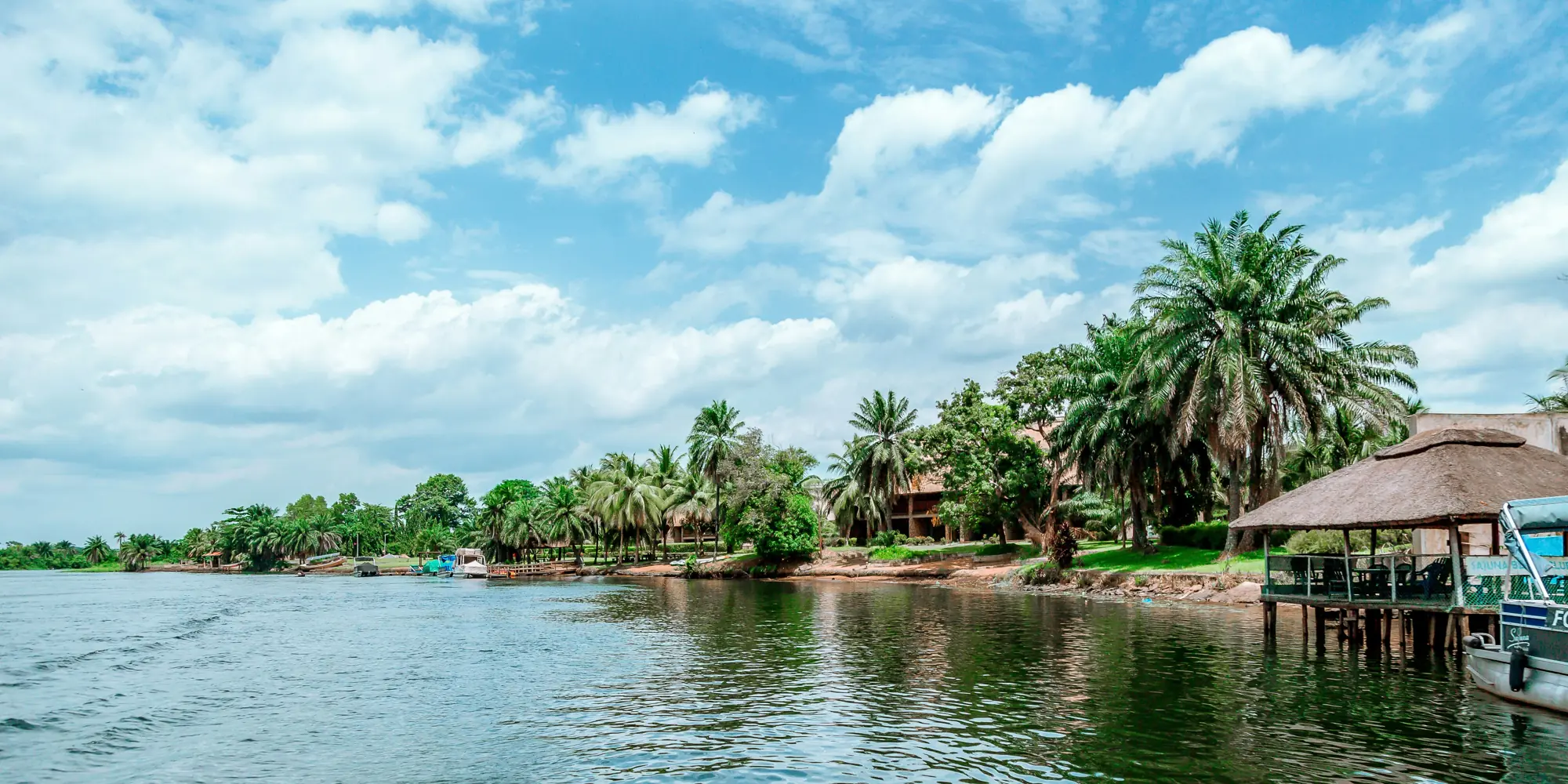Mergulho com tubarões em Gana – cabanas de bambu com palmeiras à beira da água