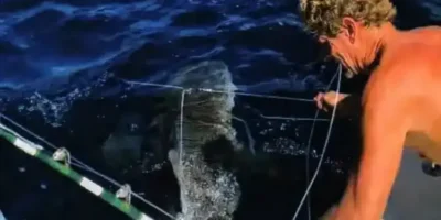 EUA: Trump perdoa dois mergulhadores que em 2020 libertaram 19 tubarões de espinhéis na costa da Flórida e foram condenados por roubo em 2022. Trump perdoa dois mergulhadores na Flórida que libertaram 19 tubarões de espinhéis após condenação por roubo