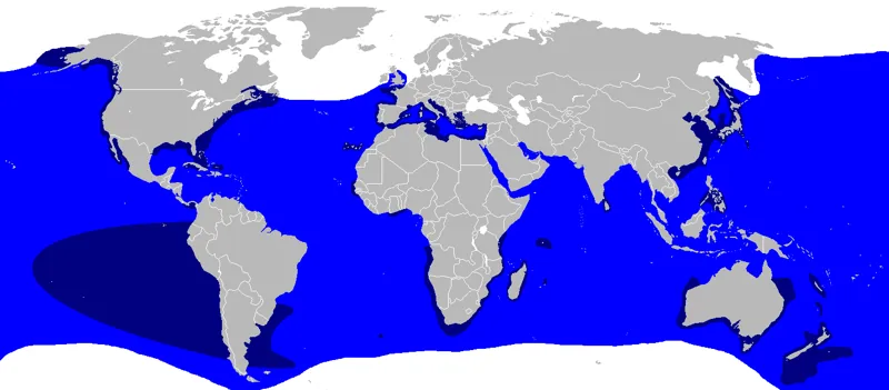 Mapa de distribuição do tubarão-branco Carcharodon carcharias