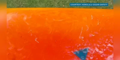 Close de uma prancha laranja com aparentes marcas de dentes após um encontro com um tubarão-tigre ao largo de Ala Moana