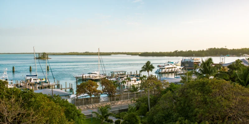 Pequeno porto em Bimini com veleiros, barcos a motor, costa e mar