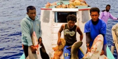 Pescadores com tubarões capturados num barco em águas indonésias
