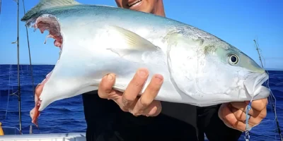 Pescador segura peixe mordido por um tubarão