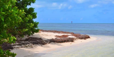 Praia de areia, mangais e águas rasas em Boca Grande Key, nas Florida Keys