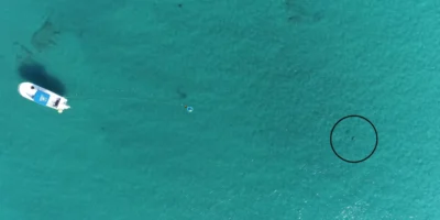 Vista aérea por drone da montagem experimental ao largo da Flórida, com um barco, um altifalante subaquático e um tubarão assinalado por um círculo preto.