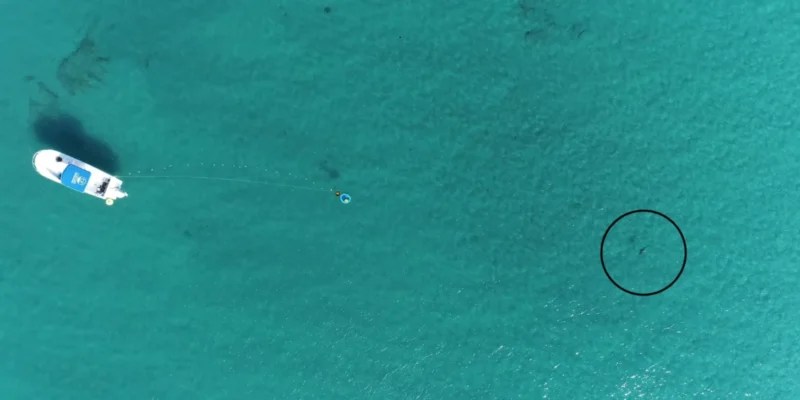 Vista aérea por drone da montagem experimental ao largo da Flórida, com um barco, um altifalante subaquático e um tubarão assinalado por um círculo preto.