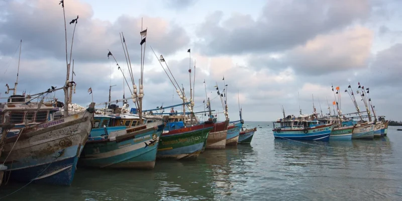 Barcos de pesca coloridos na água ao largo de Kalpitiya, Sri Lanka