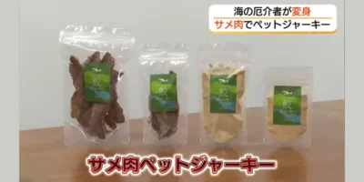 Quatro embalagens de petiscos de carne de tubarão de Chizu, em pedaços desidratados e em pó, na reportagem da TSK/FNN